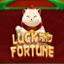 Luck and Fortune
