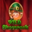Wild Shamrock