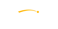 Netwin Casino Logo