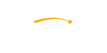 Netwin Casino Logo