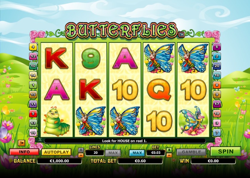 Butterflies.jpg