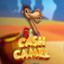 Cash Camel