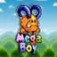 Mega Boy