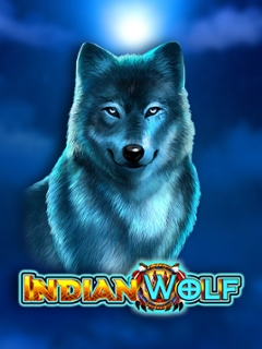 Indian Wolf