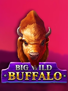 Big Wild Buffalo