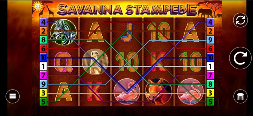 Savanna Stampede.jpg