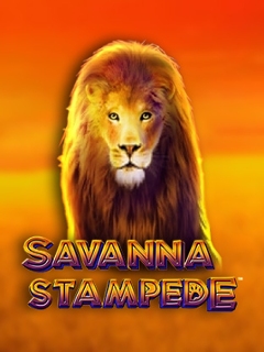 Savanna Stampede