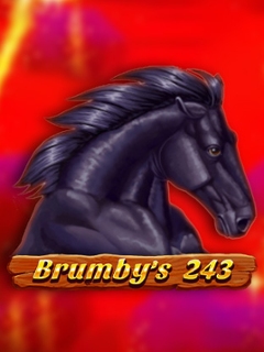 Brumby's 243