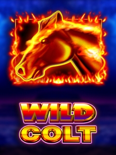 Wild Colt