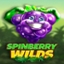 Spinberry Wilds