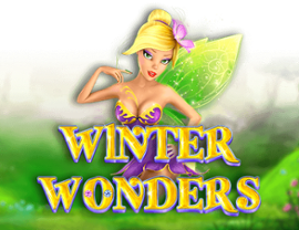 Winter Wonders