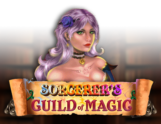 Sorcerer's Guild of Magic