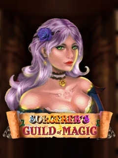 Sorcerer's Guild of Magic