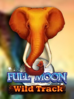 Full Moon: Wild Track