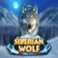 Siberian Wolf
