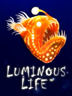 Luminous Life