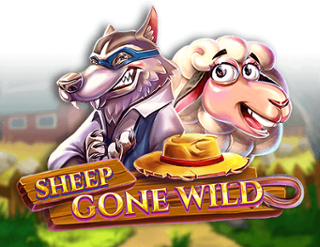 Sheep Gone Wild