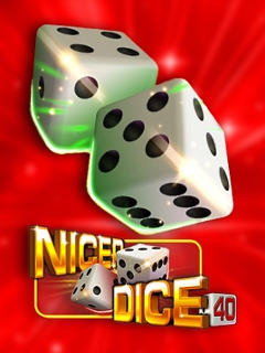 Nicer Dice 40
