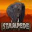 Stampede