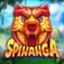 Spinanga