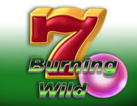 Burning Wild