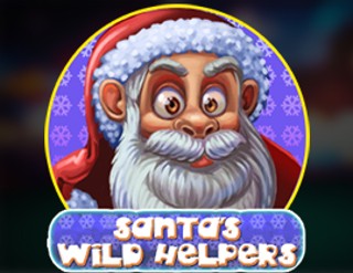 Santa Wild Helpers