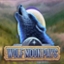 Wolf Moon Pays