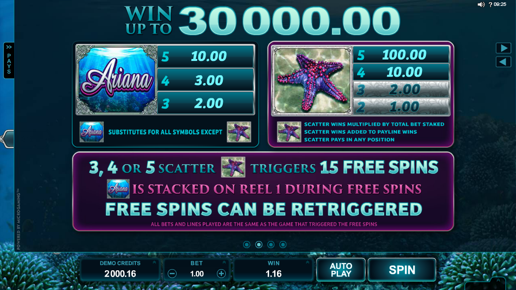 Scatter and Wild symbols paytable