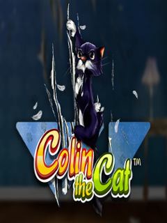 Colin the Cat