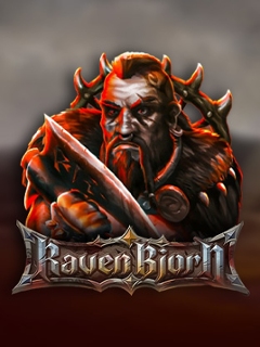 Raven Bjorn
