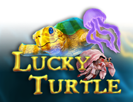 Lucky Turtle