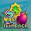 Wild Shamrock