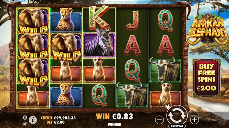 African Elephant slot - Wild Shape win