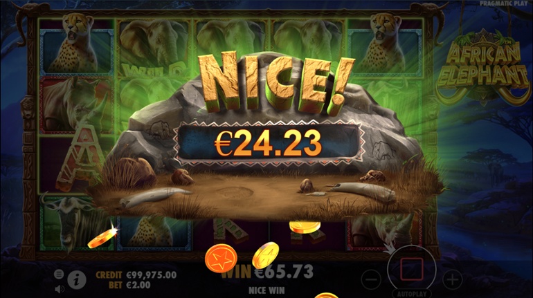 African Elephant slot big win