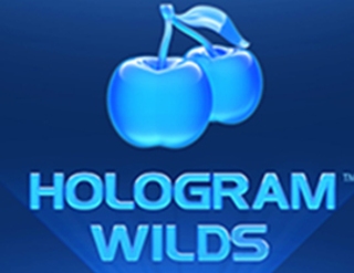 Hologram Wilds