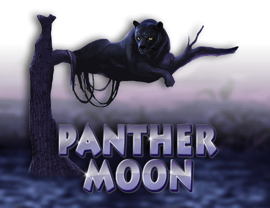 Panther Moon