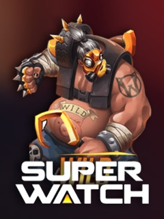 Super Watch
