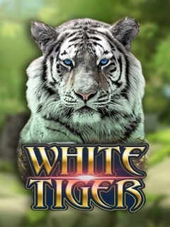 White Tiger