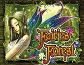 Fairy Forest