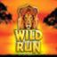 Wild Run