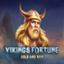 Vikings Fortune