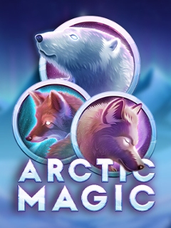 Arctic Magic