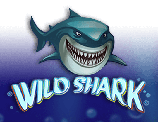 Wild Shark