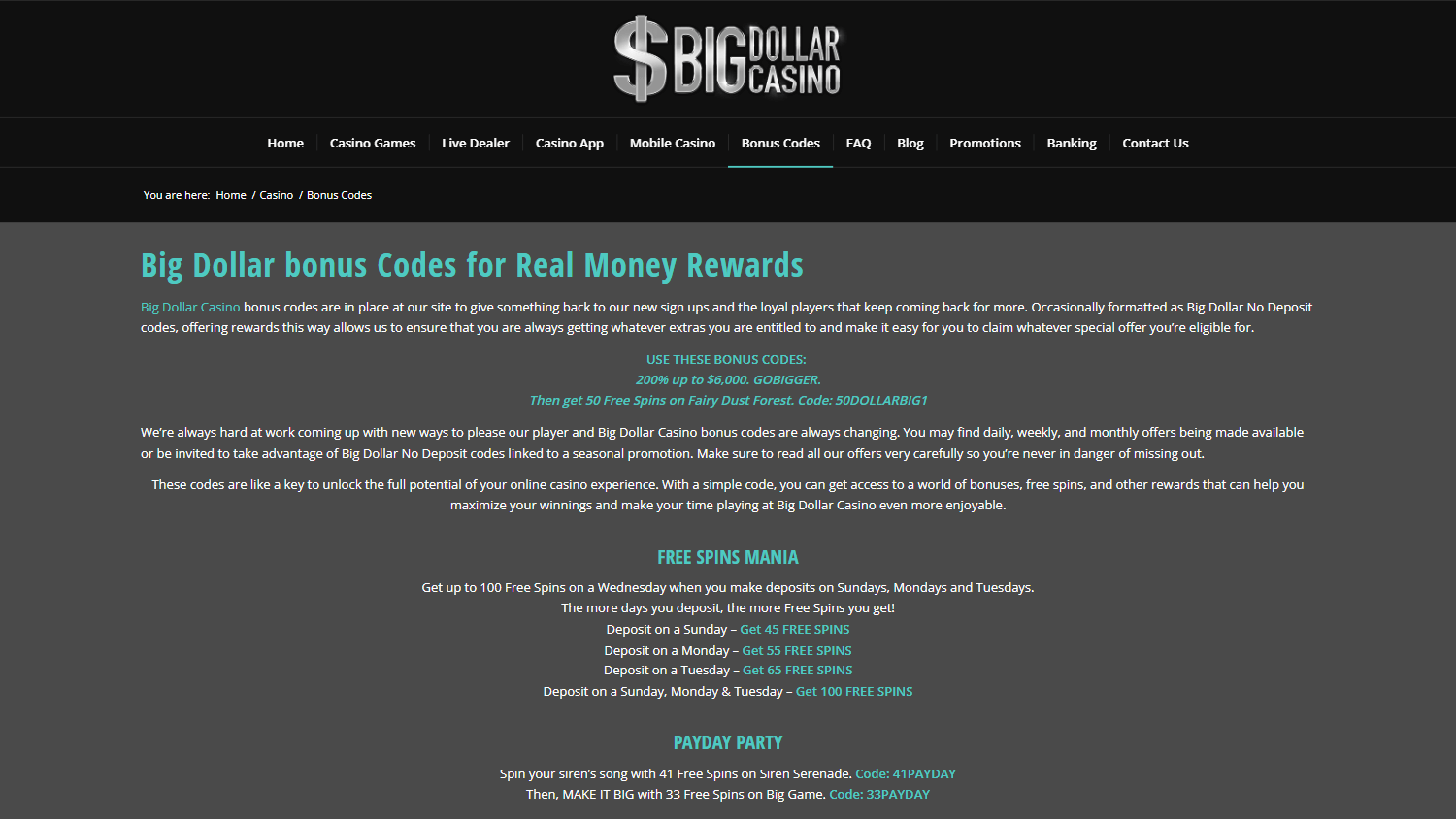 big_dollar_casino_promotions_desktop