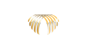 Casino Le Palme Logo