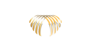 Casino Le Palme IT Logo