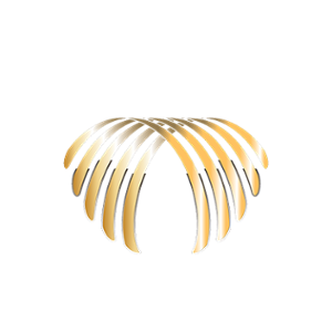Casino Le Palme Logo