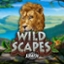 Wildscapes Scratch