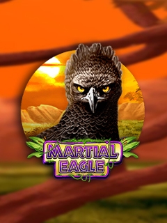 Martial Eagle