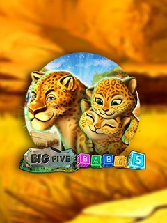 Big 5 Baby 5